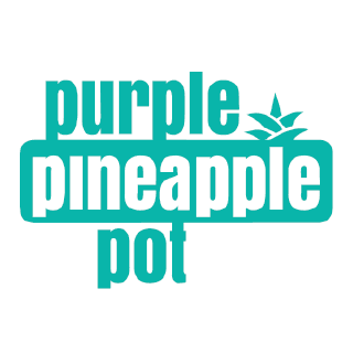 Purple Pineapple Pot