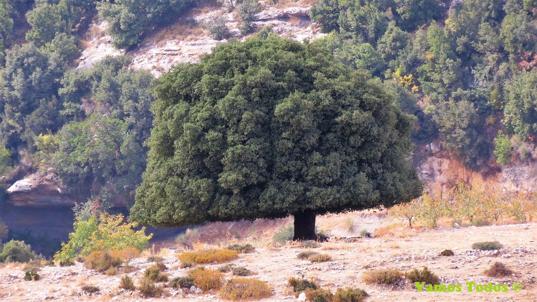 Karm El Mohr - Daraya hike 