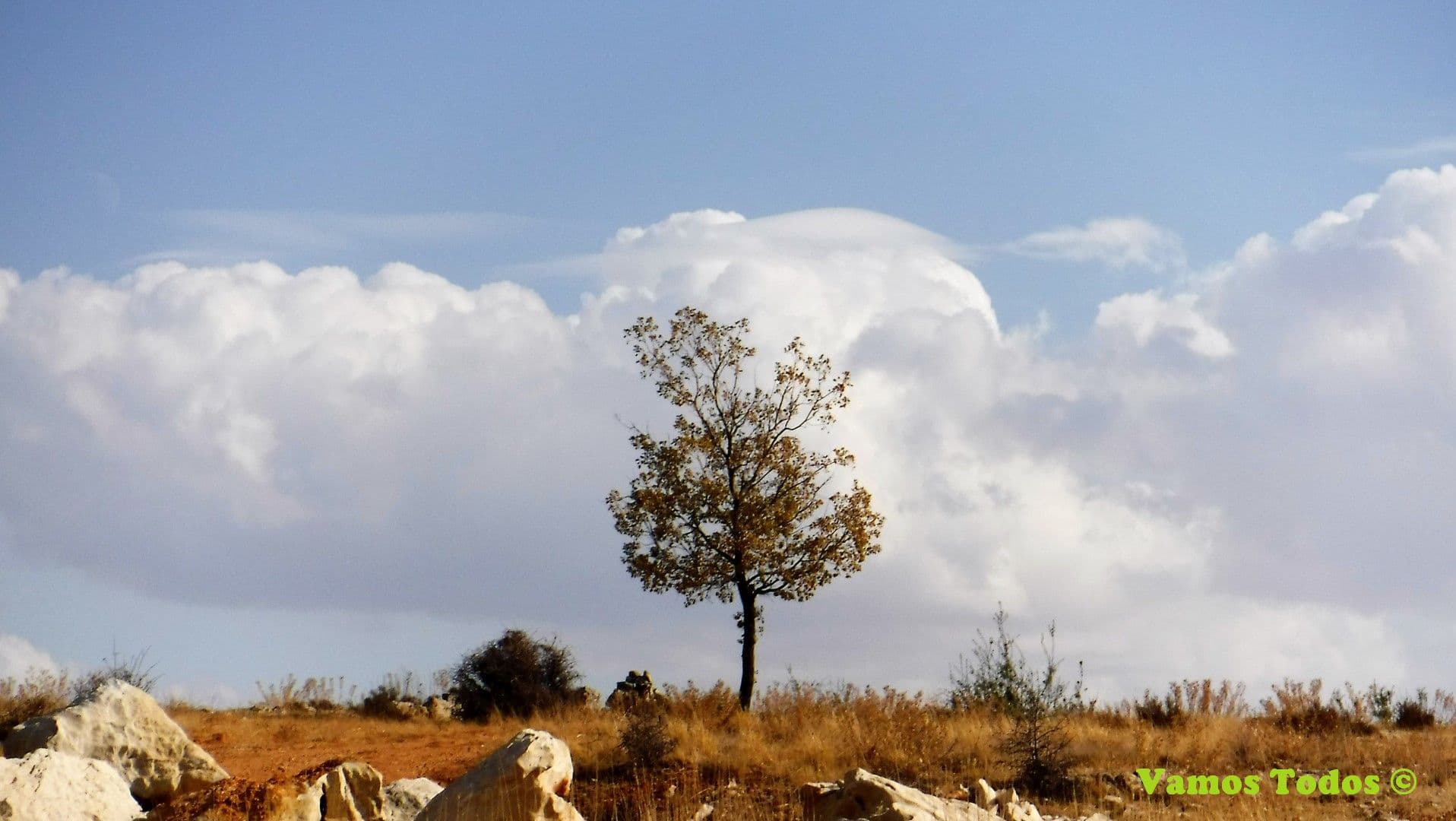 Mamlaket el Lezzeb overnight 