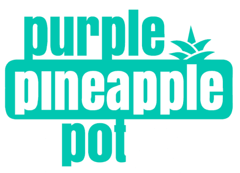 Purple Pineapple Pot